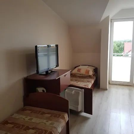 Mistral ホームステイ *