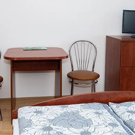 Mistral ホームステイ