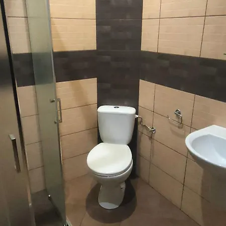 Mistral ホームステイ