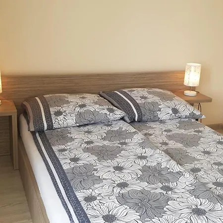 Mistral Władysławowo